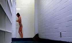 Danielle Harris nude