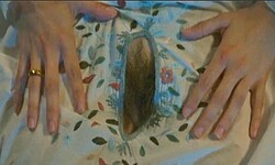 Laura Taylor pussy