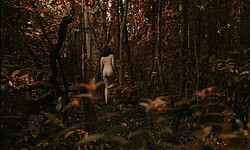 Nicole Cordery Frontal Nude Scenes In Algo Sobre Ilda