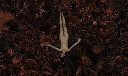 Nicole Cordery Frontal Nude Scenes In Algo Sobre Ilda